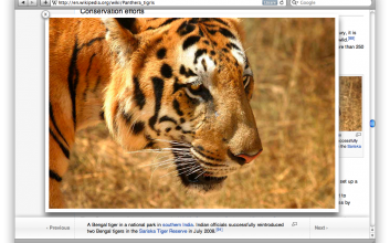 Bengalisk tiger på Wikipedia